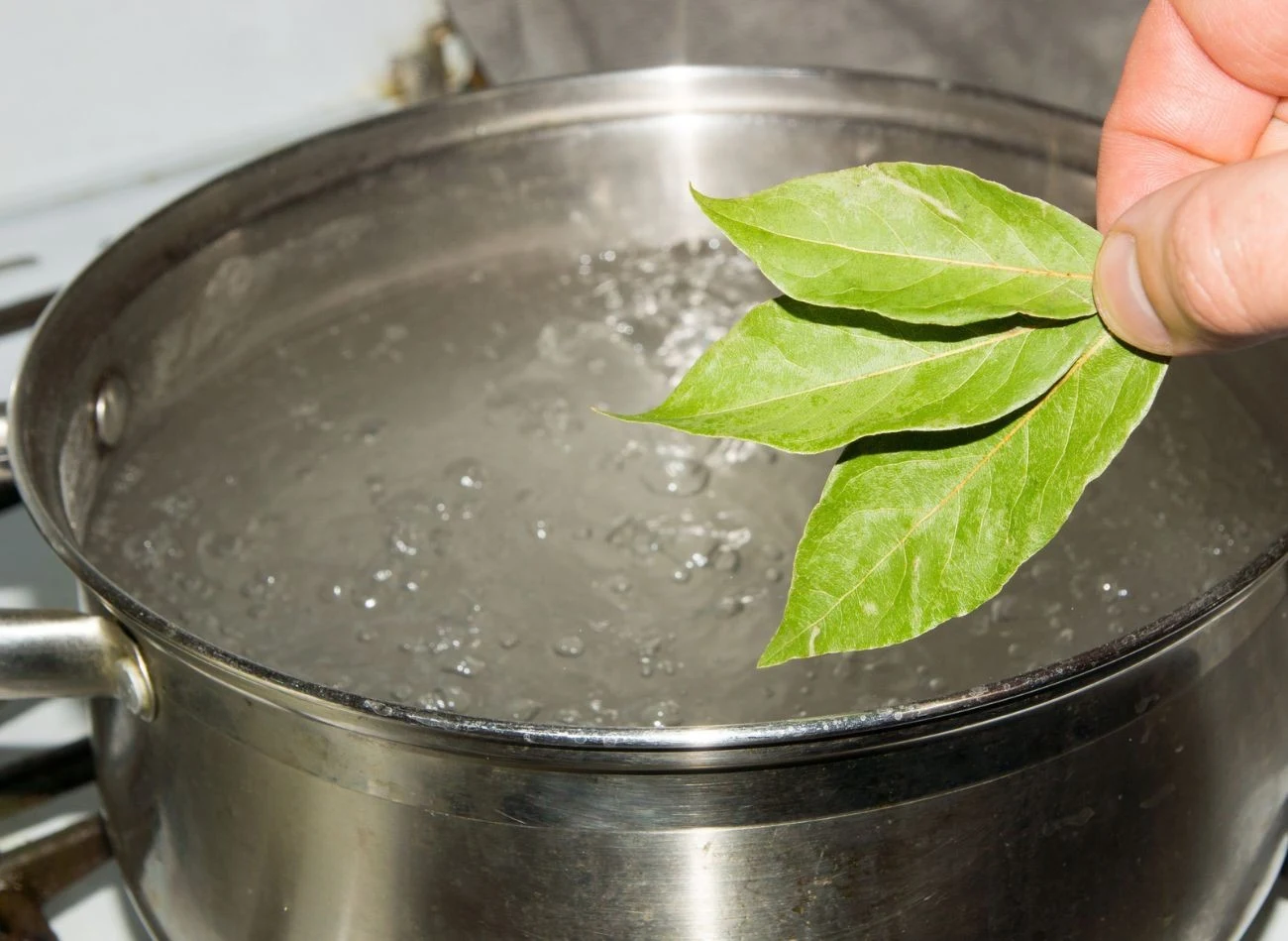 Liście laurowe są skutecznym i naturalnym pochłaniaczem zapachów.