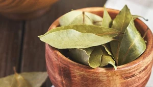 Liście laurowe nadają się nie tylko do przyprawiania – świetnie odświeżają powietrze.