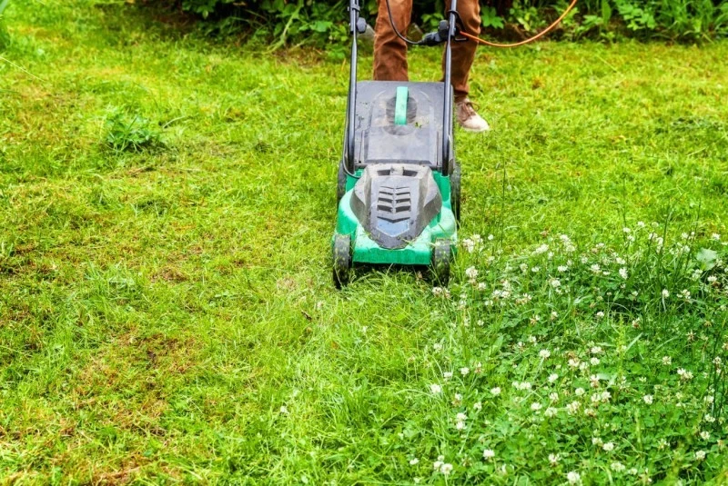 Nie należy ścinać trawy zbyt nisko (poniżej 3 cm), ponieważ zwiększa to ryzyko przemarzania.