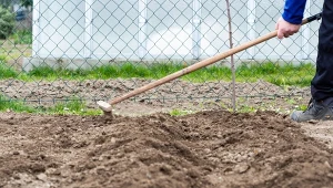 Przekopywanie ziemi w ogrodzie umożliwia także wprowadzenie do gleby nawozów organicznych, takich jak kompost czy obornik.