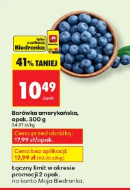 Borówka amerykańska Biedronka