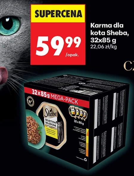 Karma dla kota Sheba