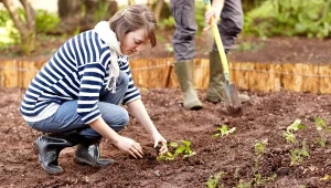 Pielęgnacja warzyw ozimych w okresie zimowym koncentruje się na zapewnieniu im odpowiedniej ochrony.
