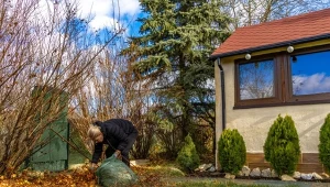 Wyjaśniamy, na czym polega kompostowanie w workach foliowych.