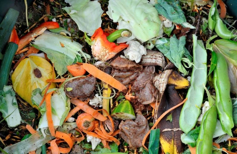 W worku możemy kompostować resztki z kuchni czy opadłe liście