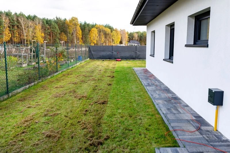 Jaki jest najlepszy domowy sposób na mech na trawniku