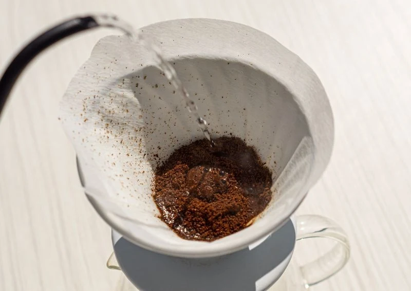 Filtr do kawy przydaje się nie tylko w kuchni, warto go włożyć do doniczki.