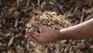 Pellet czy zrębki drewna - które paliwo jest tańsze i bardziej wydajne?