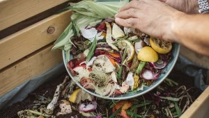 Wyjaśniamy, jak przyspieszyć kompostowanie jesienią.