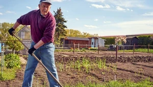 Sekret zdrowej gleby. Jak nawozić i pielęgnować ogród bez kopania?