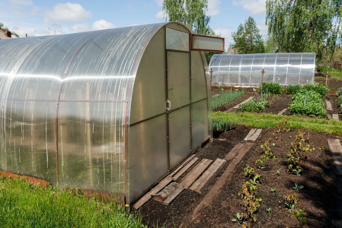 Gleba w szklarni powinna być dostosowana do uprawianego gatunku