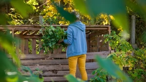 Wartościowy nawóz w kilka miesięcy. Tak przyspieszysz dojrzewanie kompostu