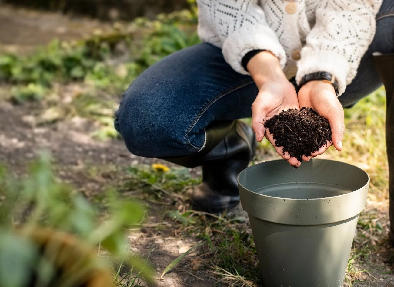 Kompost to jeden z najbardziej uniwersalnych i bezpiecznych nawozów organicznych, który można stosować praktycznie przez cały rok.
