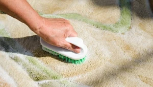 Koleżanka czyści dywany naparem z liści laurowych. Sprawdziłam, rewelacja