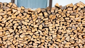 Wybór drewna opałowego to decyzja, która wpływa zarówno na temperaturę w domu, jak i na koszty ogrzewania i jakość powietrza.