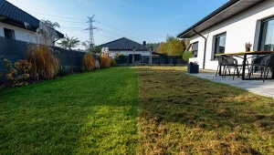 Wyjaśniamy, jak przeprowadzić skaryfikację trawnika, by zagęścił się na wiosnę.