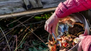Przykry zapach wydobywający się z kompostownika to dość powszechny problem.
