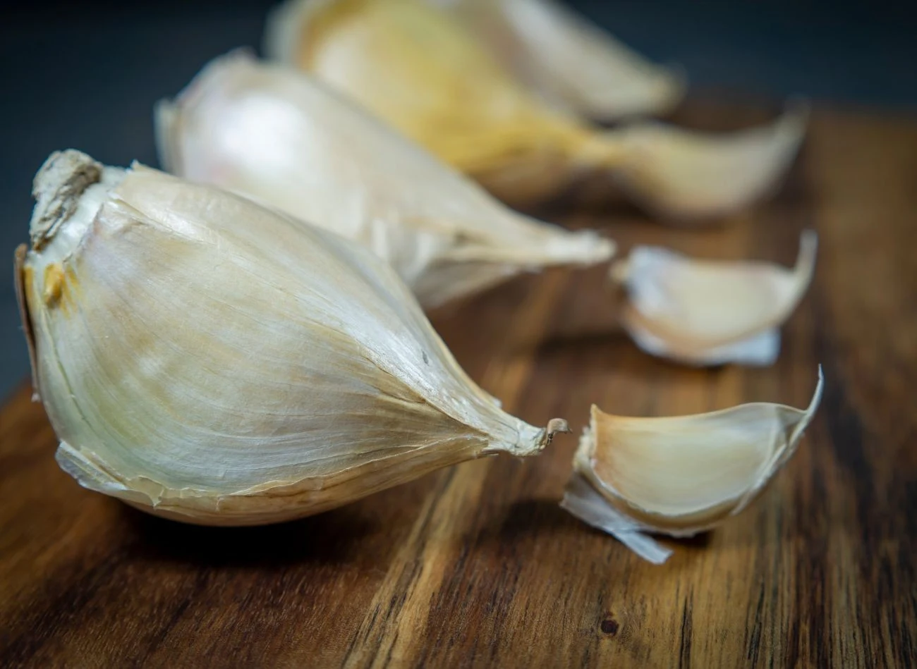 W sprzedaży internetowej jeden ząbek czosnku słoniowego osiąga cenę nawet 10 zł.