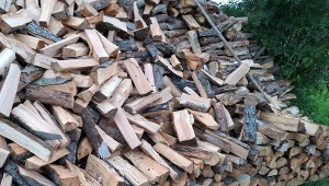 Nie każdy gatunek drewna nadaje się do spalania, więc dobrze się zastanów, które wybrać./Deccoria.pl