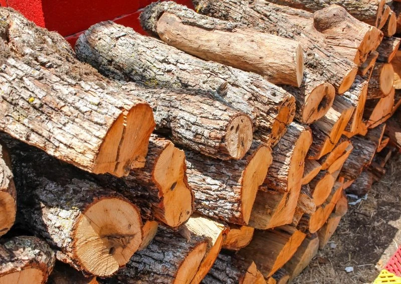 Drewno liściaste najbardziej nadaje się na opał.