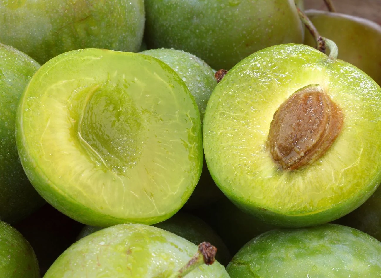 Miąższ śliwek odmiany renkloda zielona jest niezwykle aromatyczny, soczysty i orzeźwiająco słodko-kwaśny w smaku