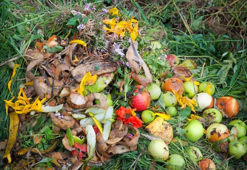 Co można kompostować jesienią, a czego lepiej nie