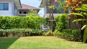 Nie zapomnij, jeśli zakładasz teraz trawnik. Na wiosnę będzie jak z obrazka