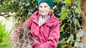 Palenie gałęzi na prywatnej działce regulują przepisy.