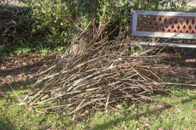 Co zrobić ze ściętymi gałęziami na działce