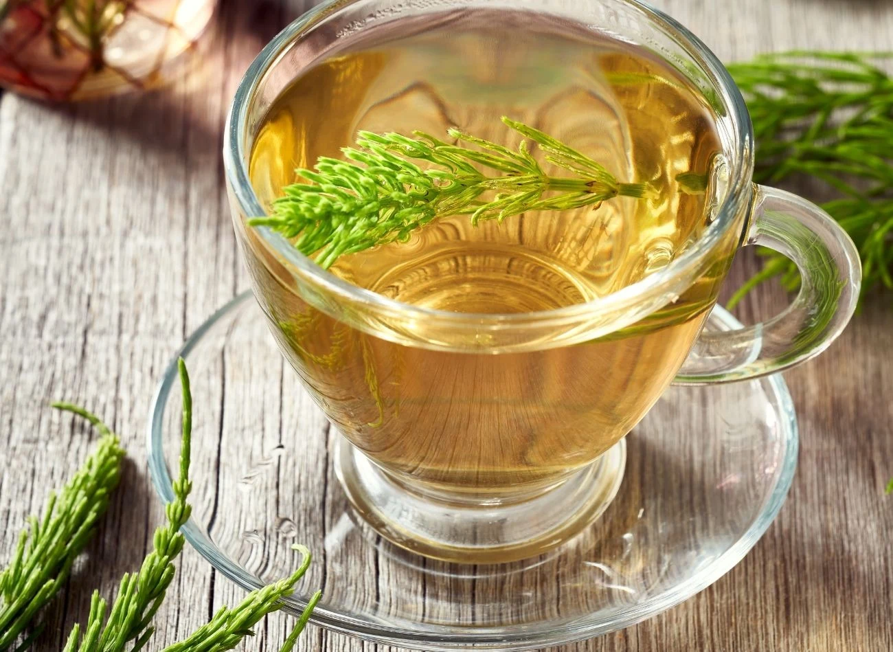 Skrzyp polny w ziołolecznictwie ceniony jest ze względu na skład bogaty w m.in. krzemionkę, alkaloidy, saponiny, żelazo, potas, fitosterole i witaminę C.