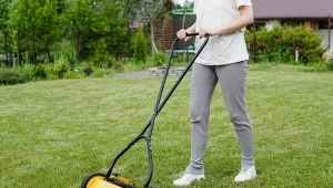 Ostatni moment na ważny zabieg. Wiosną trawnik będzie bujny bez dosiewek