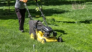Przed ostatnim koszeniem koniecznie należy usunąć zalegające liście.