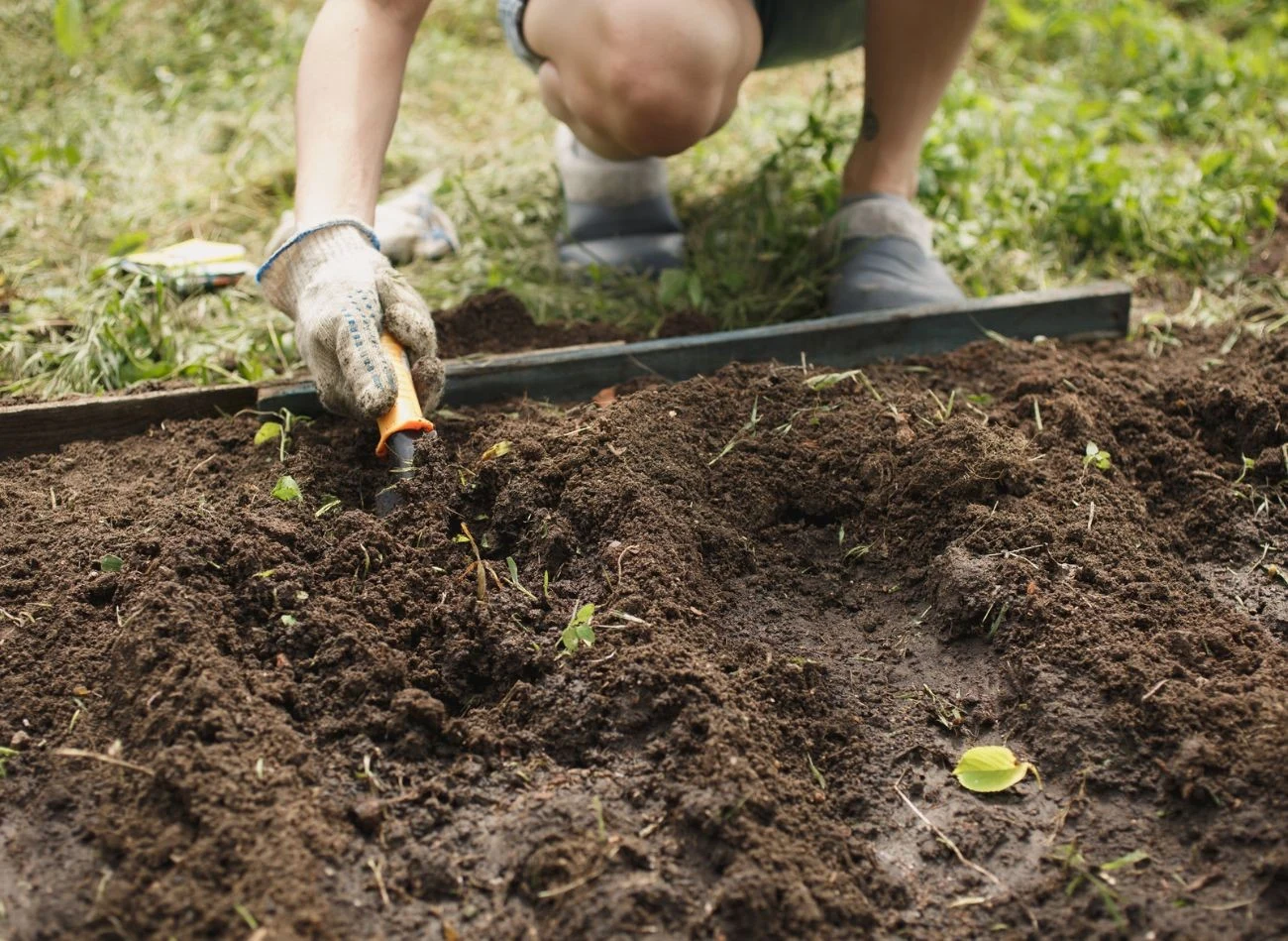 Odpowiedni odczyn gleby jest ważny dla wzrostu roślin. Jak to zrobić?