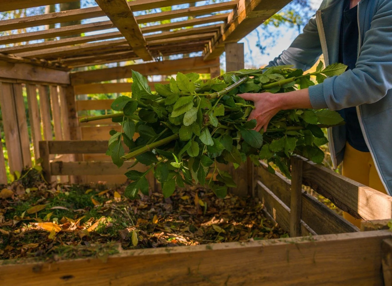 Zielone resztki z ogrodu, który zwykle wrzucamy do kompostownika lub wyrzucamy, doskonale użyźniają glebę po sezonie.