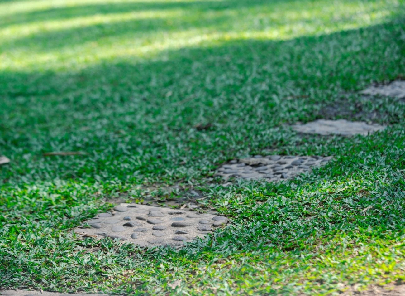 Aby zapobiec uszkodzeniom trawnika, warto ułożyć ścieżkę w wyjątkowo często użytkowanych miejscach