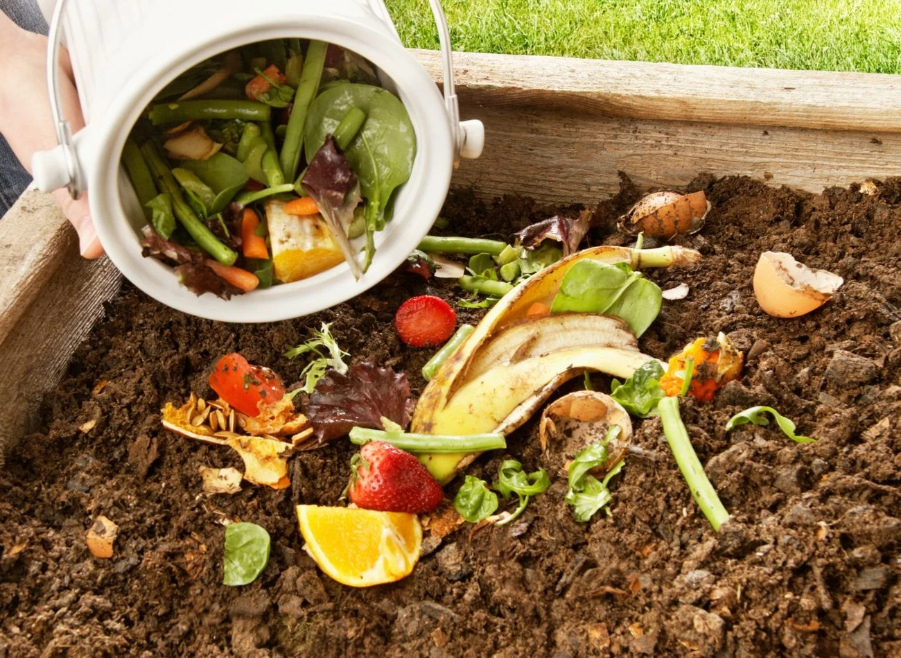 Do kompostownika nie powinno się wrzucać dużych ilości cytrusów – obniżają jego odczyn pH