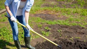 Kiedy warto stosować obornik granulowany? W jakich uprawach sprawdza się najlepiej?