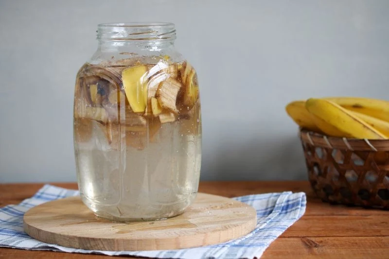 Nawóz ze skórek banana jest łatwy w przygotowaniu