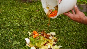 Kompostowanie w rowie to prosta i wygodna metoda na uzyskanie jakościowego nawozu.