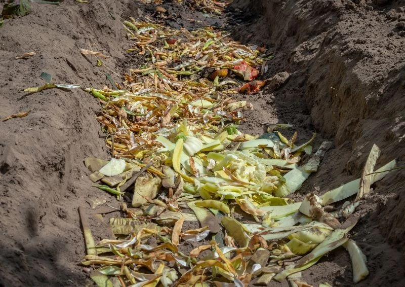 Kompostowanie w rowie jest wygodne i wymaga mniejszych nakładów pracy