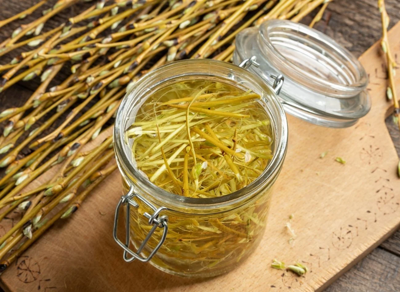 Woda z gałązek wierzby to jeden z najlepszych ukorzeniaczy do roślin.