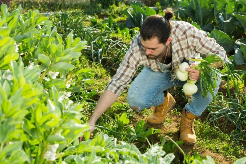 Ślimaków nie da się pozbyć z ogrodu raz na zawsze, ale można go skutecznie chronić przed szkodnikami.
