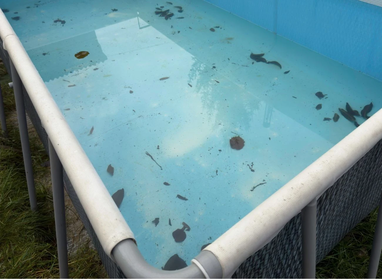 Utrzymanie czystej wody w basenie wiąże się m