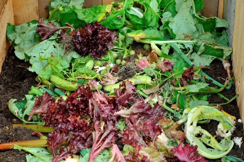 Masa kompostowa obecna w kompostowniku powinna zawierać odpady organiczne – zarówno zielone, jak i brązowe.