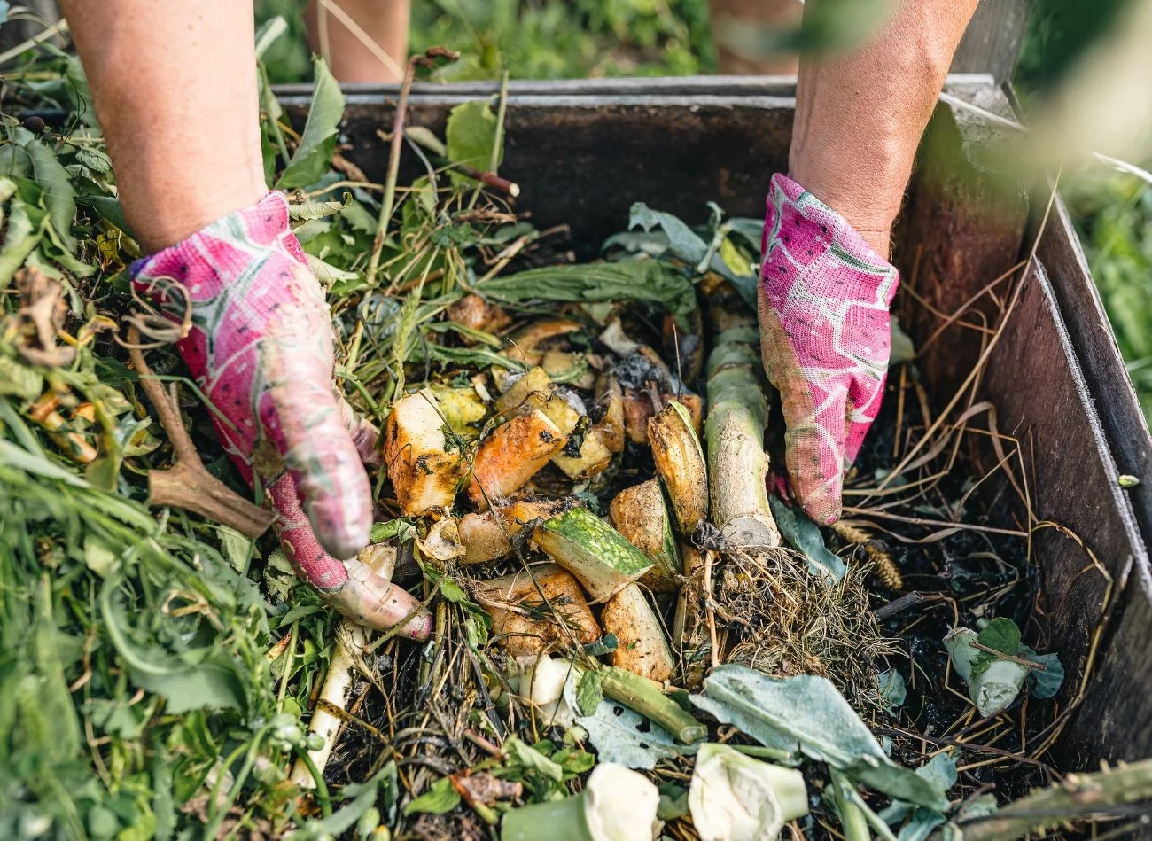 Nadmiar opdadów zielonych można wykorzystać m