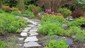 Z czego zrobić ścieżkę w ogrodzie?