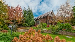 Dlaczego warto zainwestować w drewniany domek ogrodowy?