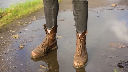 Jeśli buty nie są zabezpieczone impregnatem, ich materiał łatwo nasiąka wodą. Jest jednak prosty sposób, aby szybko pozbyć się wilgoci
