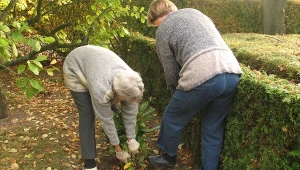 Jesienią nie zapomnij o 3 prostych zabiegach w ogrodzie. Fot. CrazyD/Canva Pro
