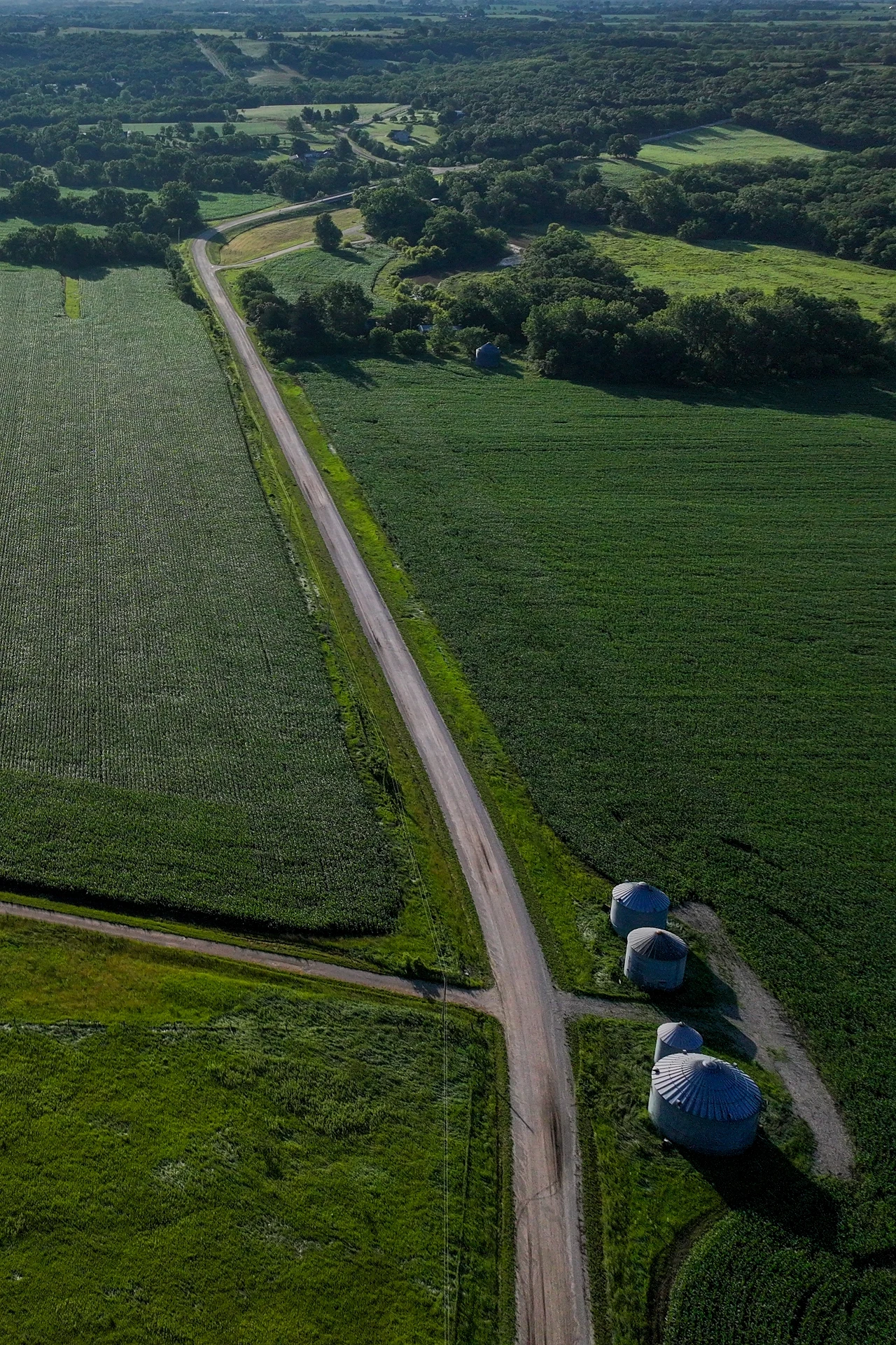 Iowa to stan rolniczy Polna droga przebiegająca wśród zielonych pól uprawnych, widoczna z lotu ptaka. Po prawej stronie drogi znajdują się trzy metalowe silosy, a w tle rozciąga się zalesiony teren.